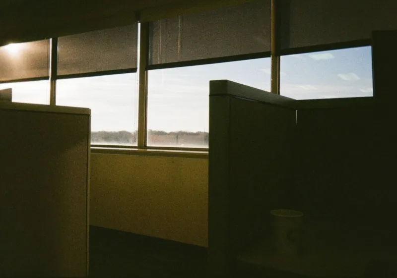 Losing Your Job and Your Only Friend in the Same Email: A Survivor's Guide