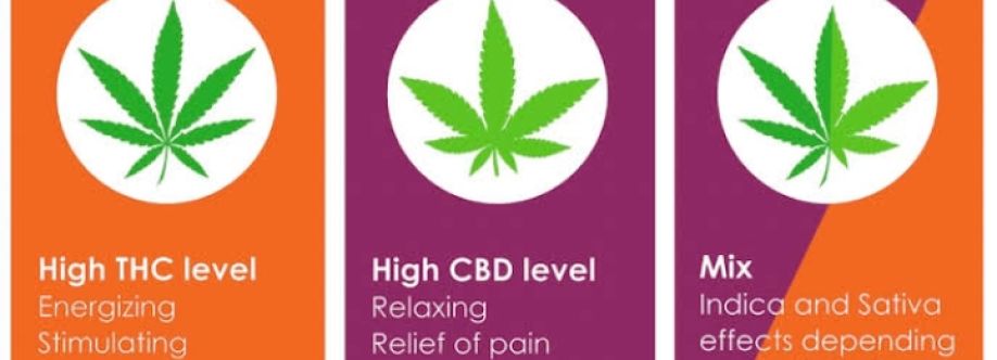 Cannabis Cover Image