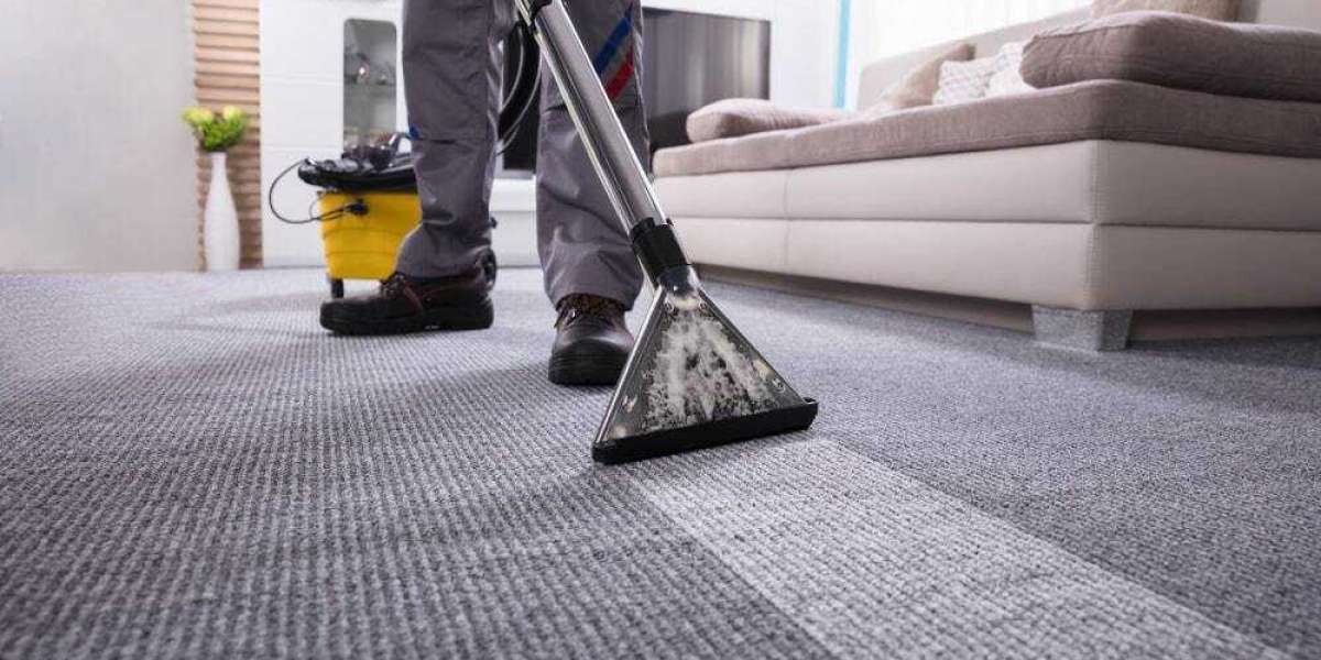 Achieve a Comfortable Home with Professional Carpet Cleaning