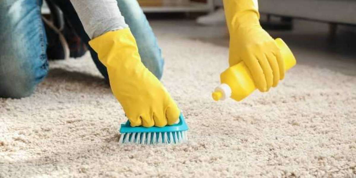 Improve Comfort and Health with Regular Carpet Cleaning