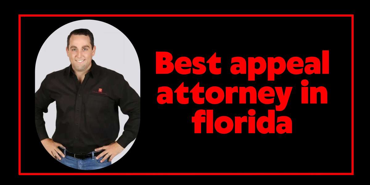 Navigating Florida Appeals: Expert Legal Support with Brownstone Law