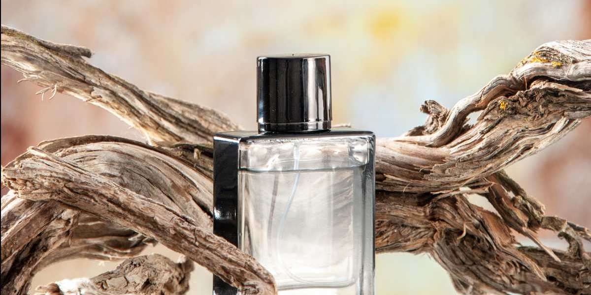 Cheap Perfumes in Qatar That Smell Like a Million Bucks