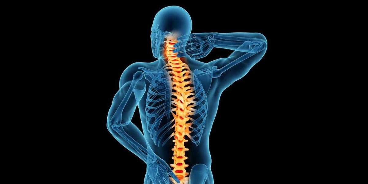 Expert Neurological Therapy & Back Pain Specialists in Bellerose, NY