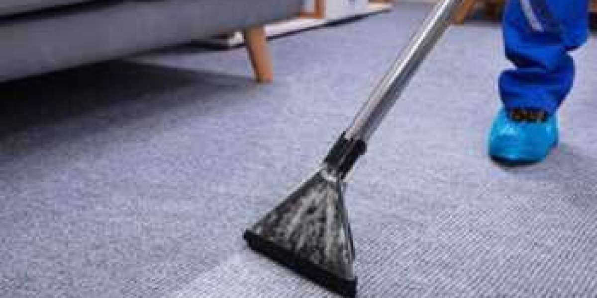 The Impact of Carpet Cleaning on Home Wellness