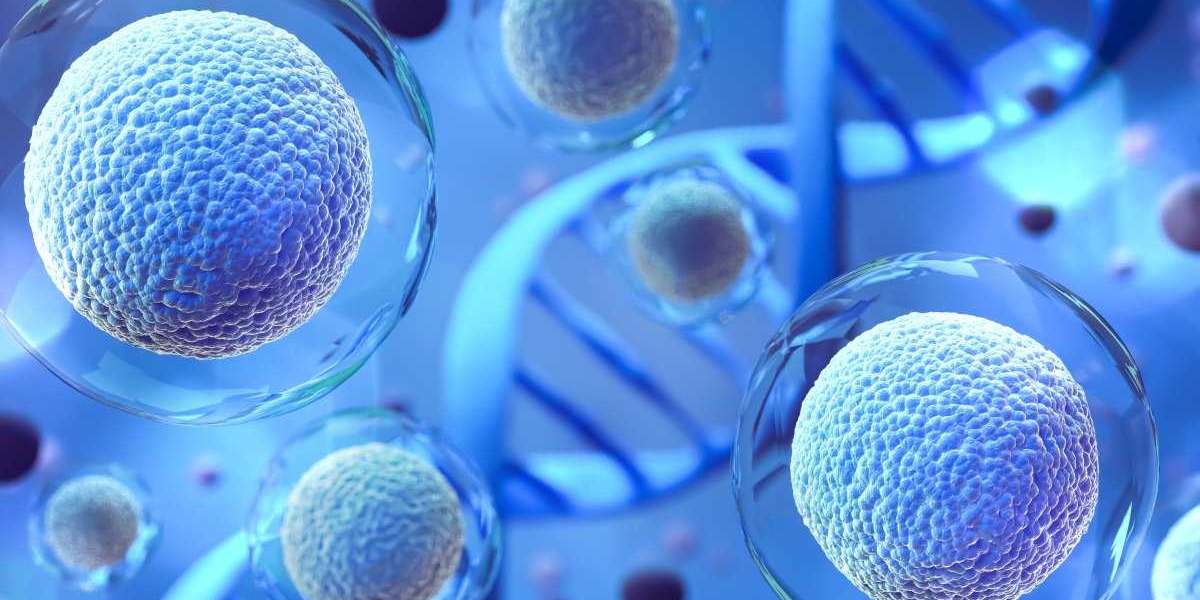 Advanced Stem Cell Treatment in Lahore: Top Suggestions for Pakistani Patients