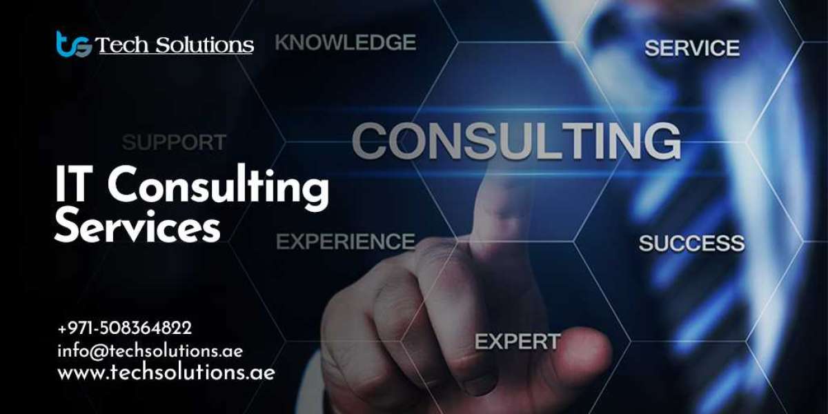 Premier IT Consulting Services in Dubai