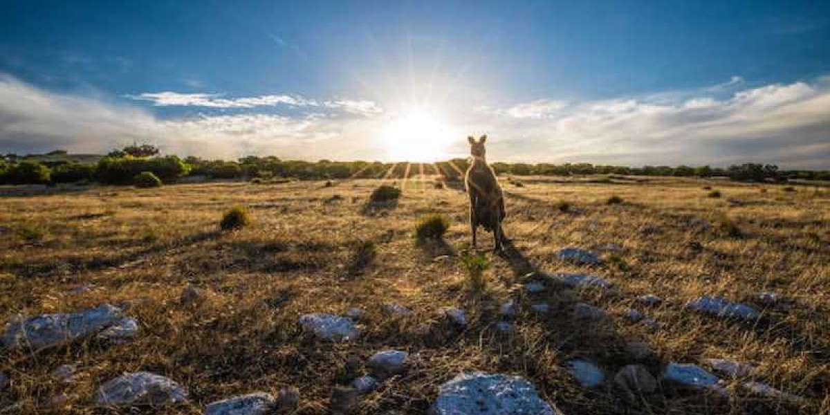 Top 10 sights to take in on a trip to Australia