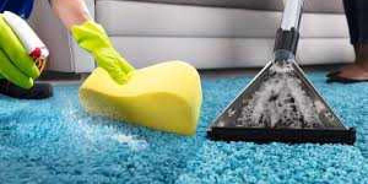 ﻿﻿Why Carpet Cleaning Services Are Essential for Allergy Prevention