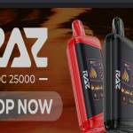Raz Frozen DC 25000 Puffs Profile Picture