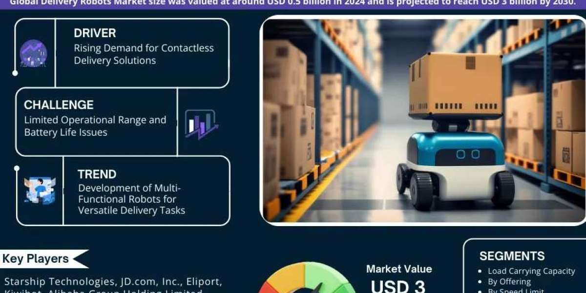 Delivery Robots Industry Forecast: Key Players and Growth Analysis 2025-2030