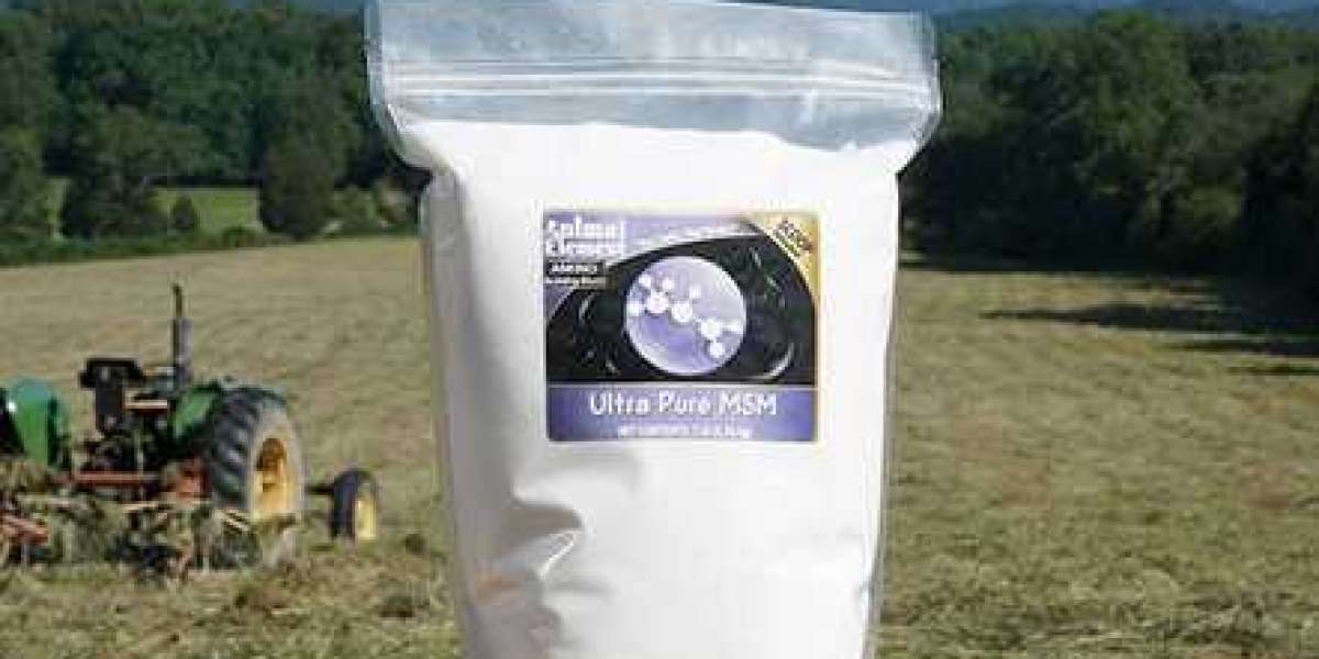 MSM Horse Supplement for Joint and Hoof Health
