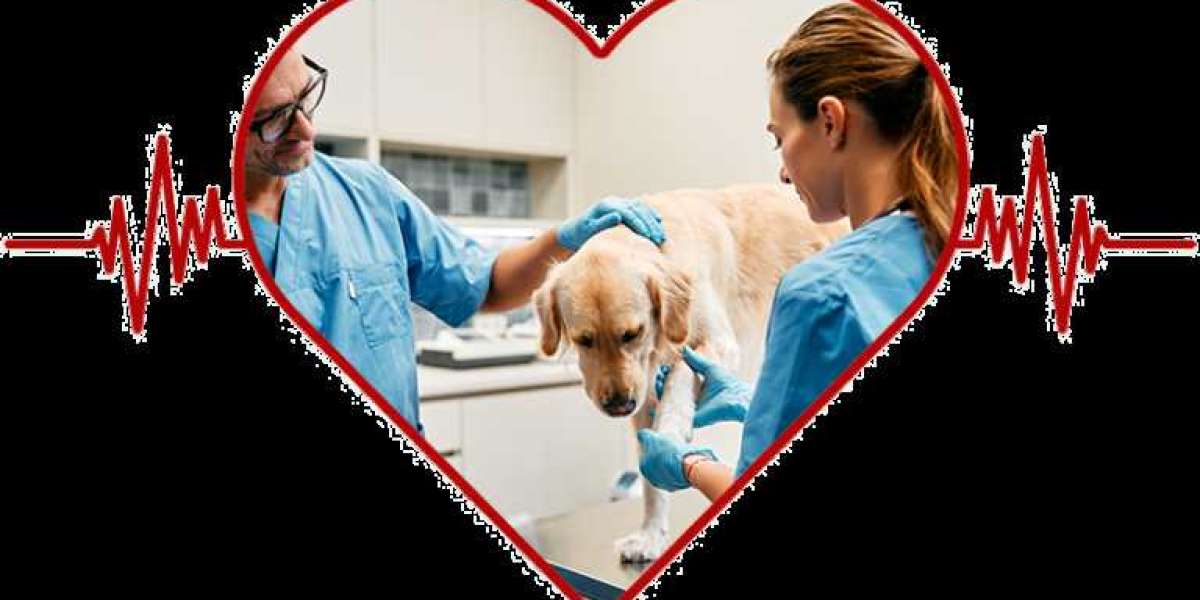 Urgent Pet Care: Trusted Emergency Veterinarian Service for Immediate Help