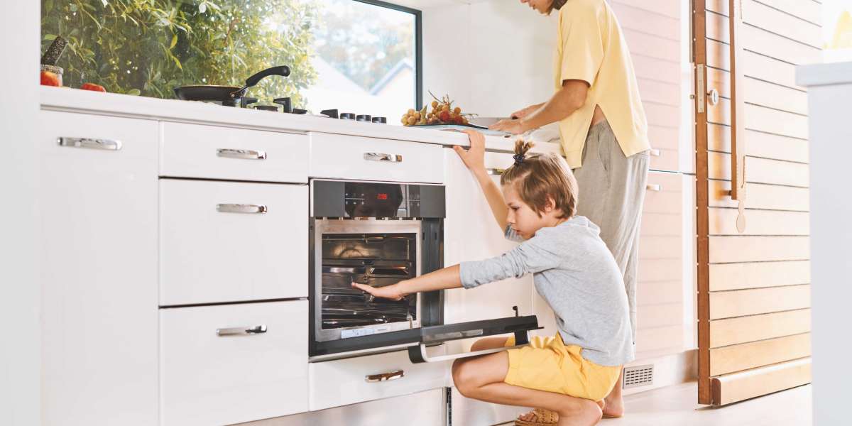 The Biggest "Myths" About Intergrated Electric Oven Could Be A Lie