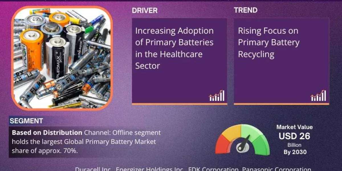 Primary Battery Market Trends, Analysis, and Future Outlook - 2030
