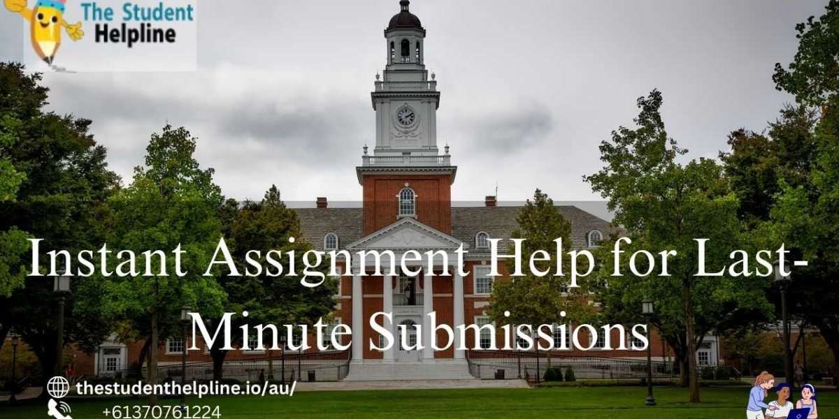 Instant Assignment Help for Last-Minute Submissions