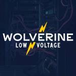 wolverinelowvoltage Profile Picture