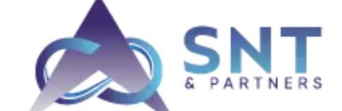 SNT Partners Cover Image