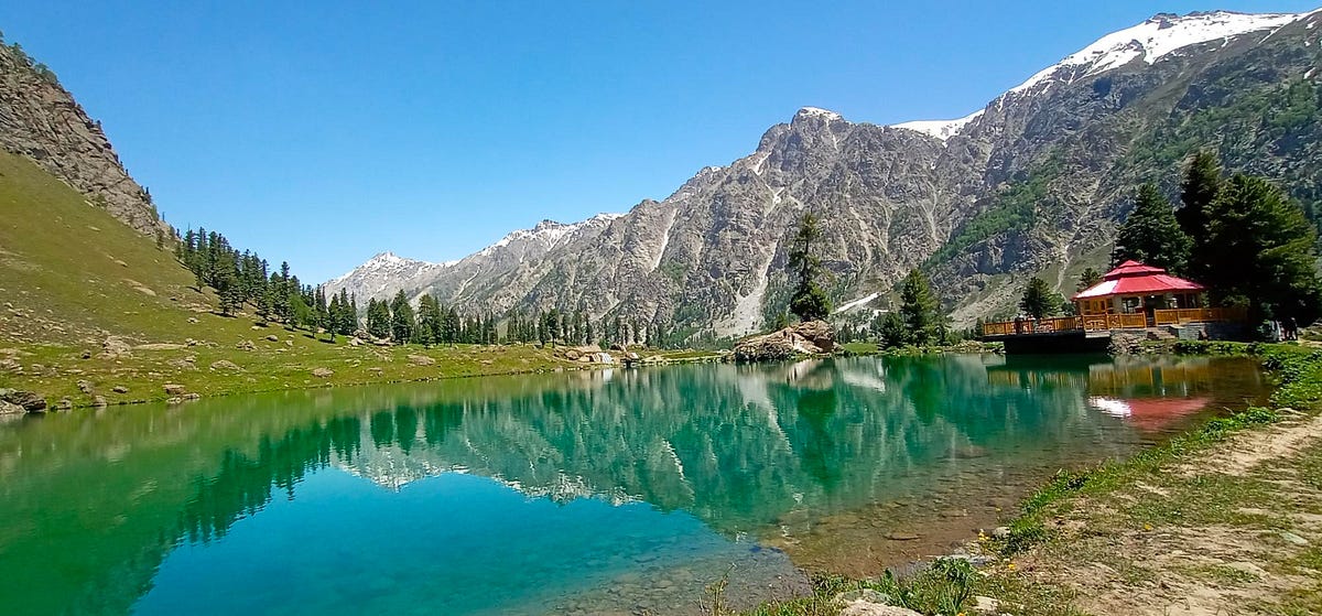 What Wildlife Can You Spot at Kashmir’s Alpine Lakes?