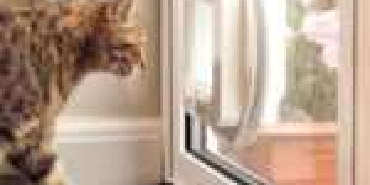 15 Best Cat Flap Installer Bloggers You Must Follow