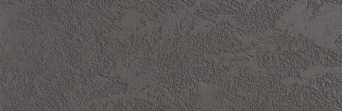 CDP Stucco Cover Image