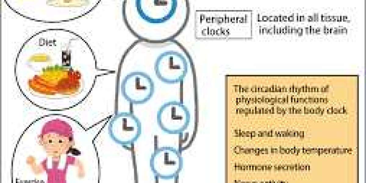Circadian Rhythm and Diet: Sync Eating with Your Body’s Clock