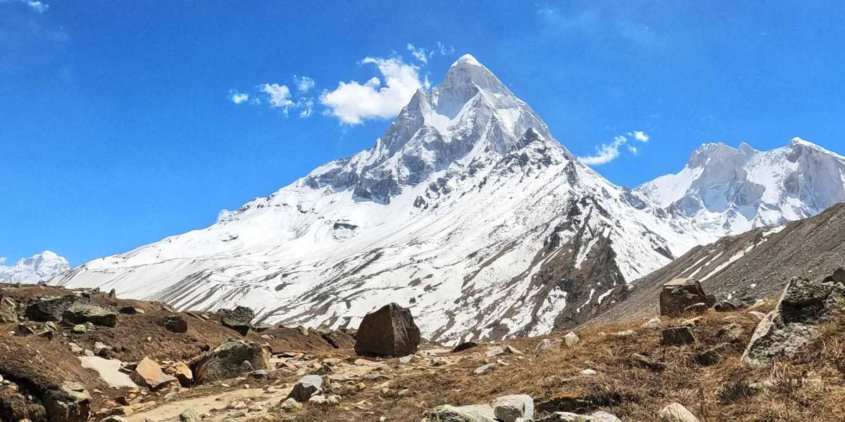 Ali Bedni Bugyal Trek Difficulty Level: How Challenging Is This Himalayan Trail?